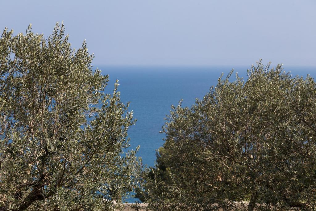 La Ripostiera By Barbarhouse Βίλα Castro  Εξωτερικό φωτογραφία